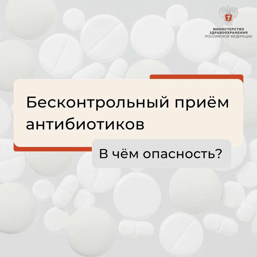 010.jpg
