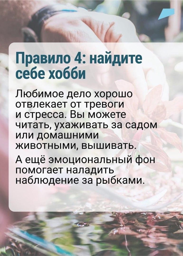 014.jpg