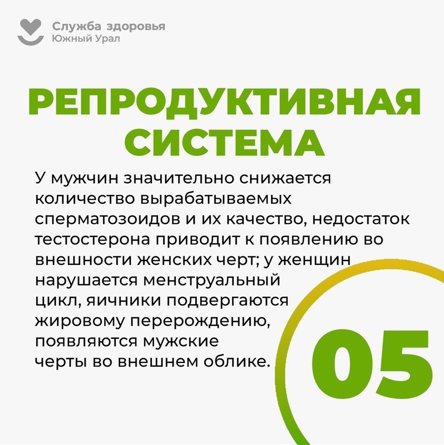 05_AsPiv6Y.jpg