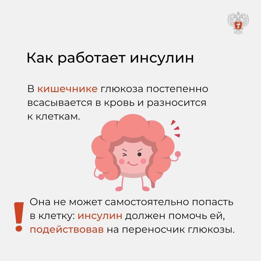 06_7hzqIxD.jpg