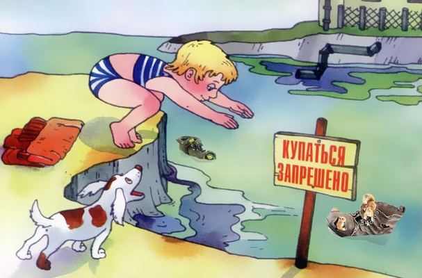  Купание в радость