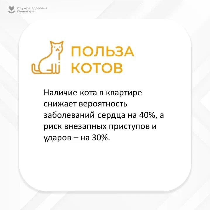 333_c0ocgKo.jpg