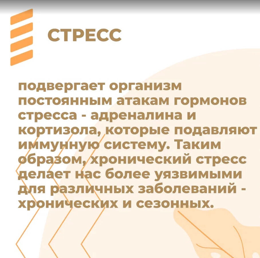 4_JOuip6D.jpg
