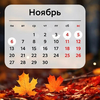 График работы поликлиники в праздничные дни в ноябре 2023