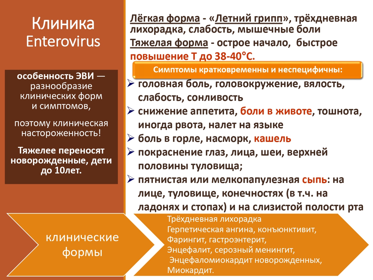obuchenie-evi-25-1-removed-page-0004_kCPkMGr.jpg