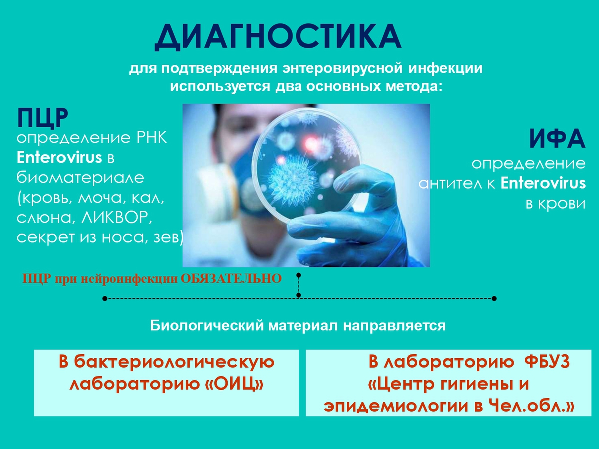obuchenie-evi-25-1-removed-page-0005_R5k7fgx.jpg