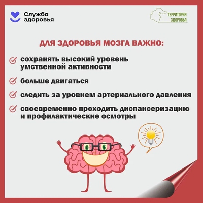 🧠 Головной мозг играет ключевую роль в работе организма